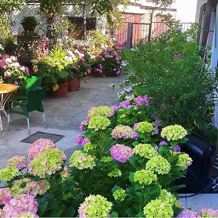 Rural Terrazas De La Alpujarra